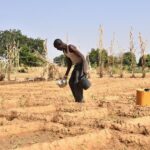 Banditry Kidnapping and Conflict Are Taxing Nigeria’s Food Systems