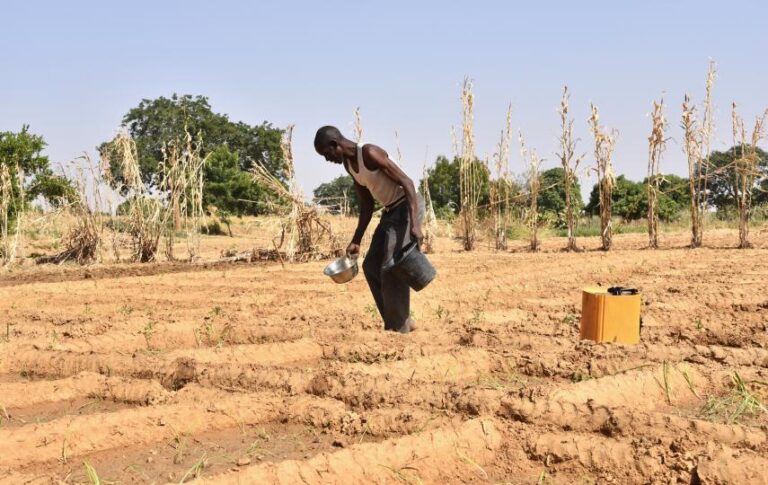 Banditry Kidnapping and Conflict Are Taxing Nigeria’s Food Systems Banditry Kidnapping and Conflict Are Taxing Nigeria’s Food Systems