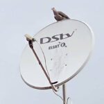 DStv Caught in Crossfire as Netflix and Paramount Battle Over Warner Bros. DStv Caught in Crossfire as Netflix and Paramount Battle Over Warner Bros. Deal