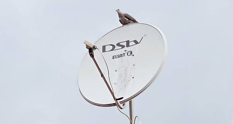 DStv Caught in Crossfire as Netflix and Paramount Battle Over Warner Bros. DStv Caught in Crossfire as Netflix and Paramount Battle Over Warner Bros. Deal